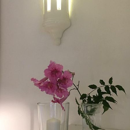 My Way Suite Μάλαγα Εξωτερικό φωτογραφία